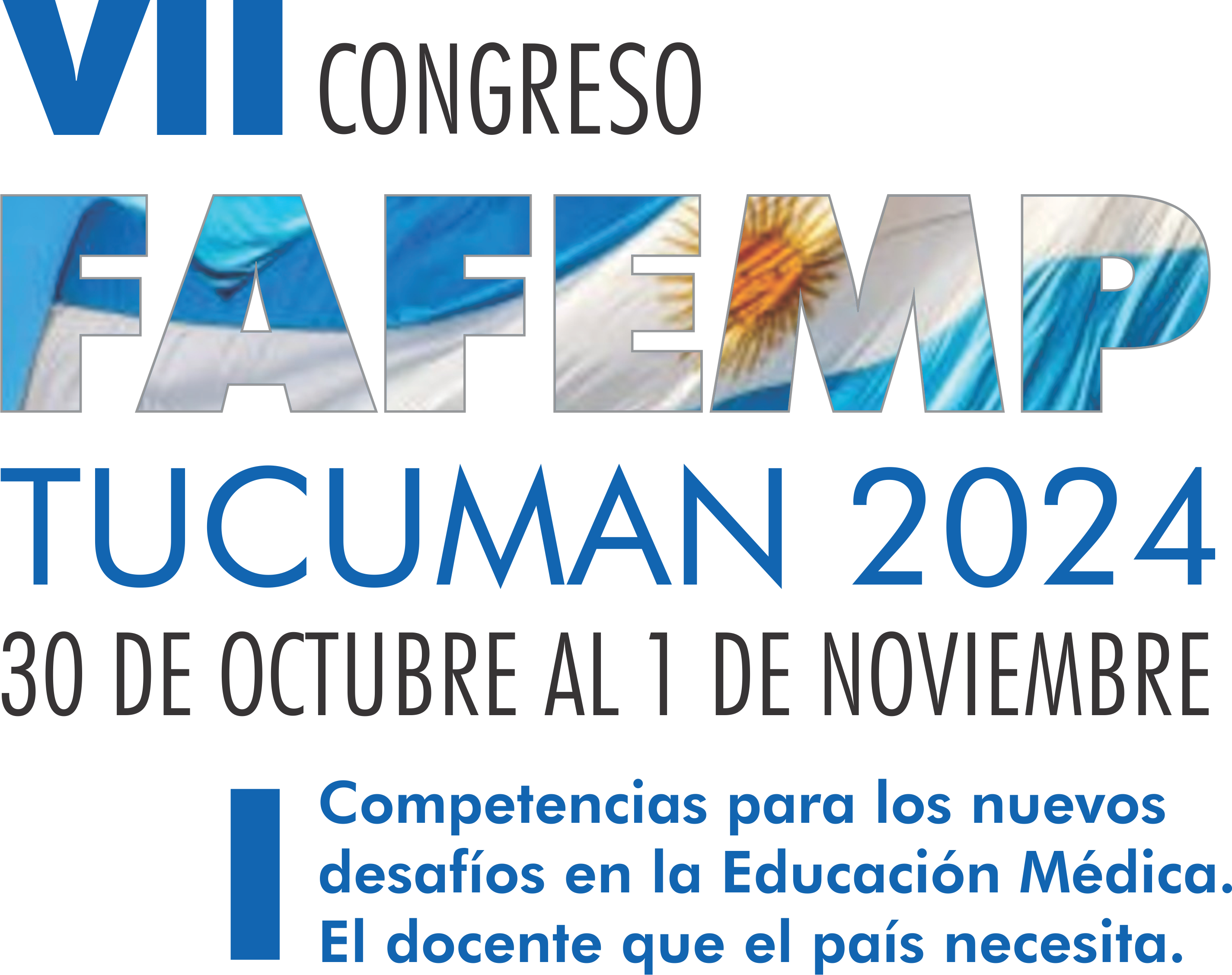 FAFEMP2024